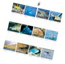 maui scuba calendar