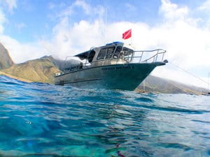 boat diving