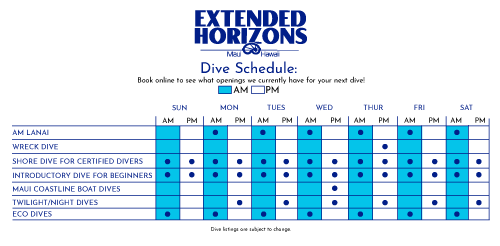 extended horizons, dive maui
