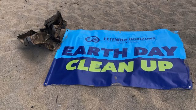 earth day cleanup, earth day events
